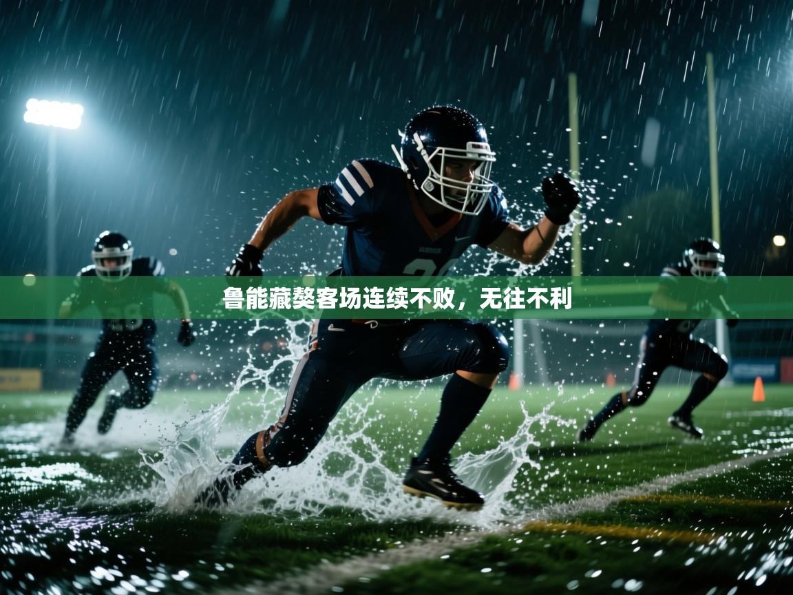 鲁能藏獒客场连续不败，无往不利  第1张