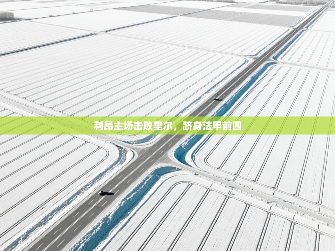 利昂主场击败里尔,跻身法甲前四 第1张