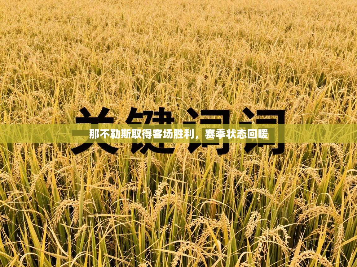 那不勒斯取得客场胜利，赛季状态回暖