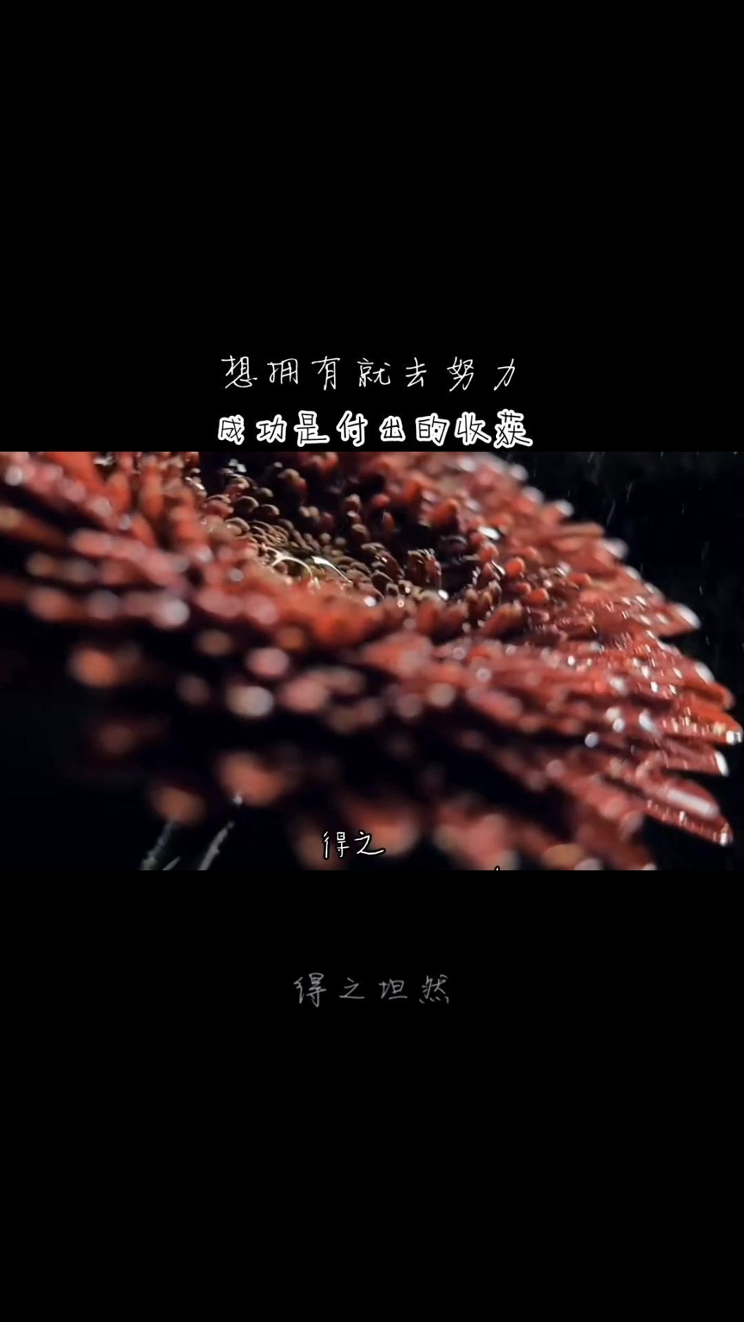 爱游戏官网网页版入口-关于瑞典奋发向前，小组赛冲刺晋级机会的信息