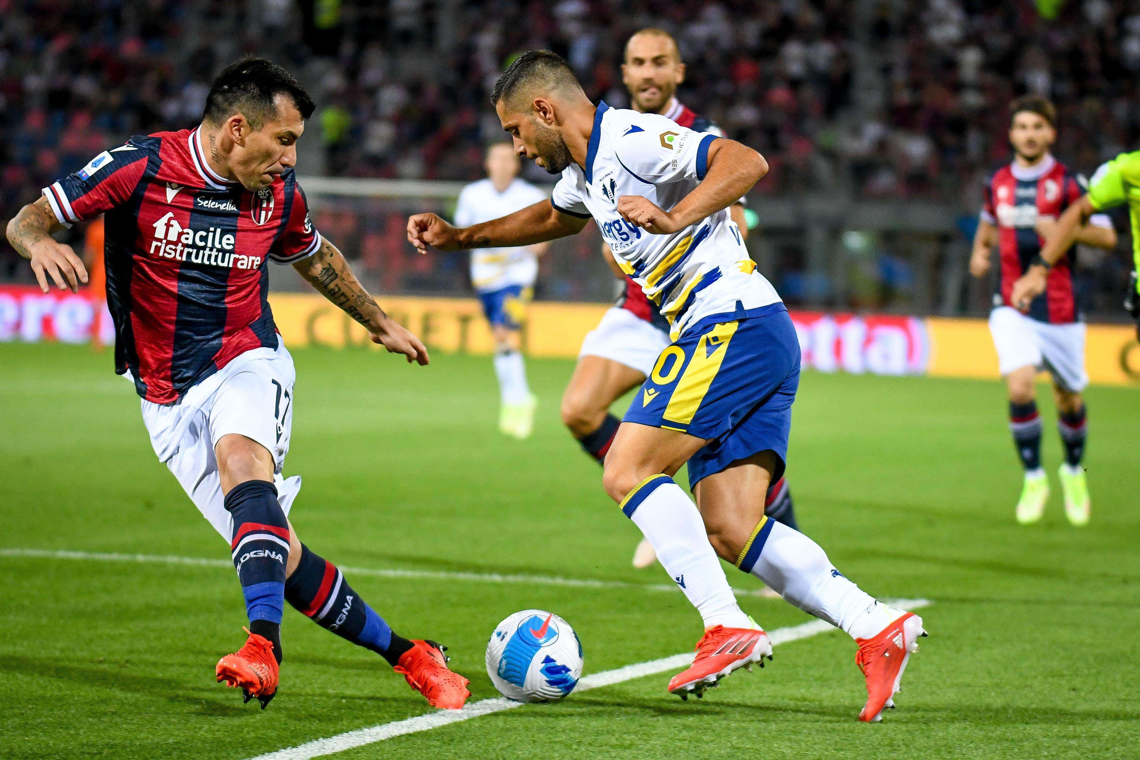 关于罗马获胜欢呼，维罗纳球迷沮丧不已的信息