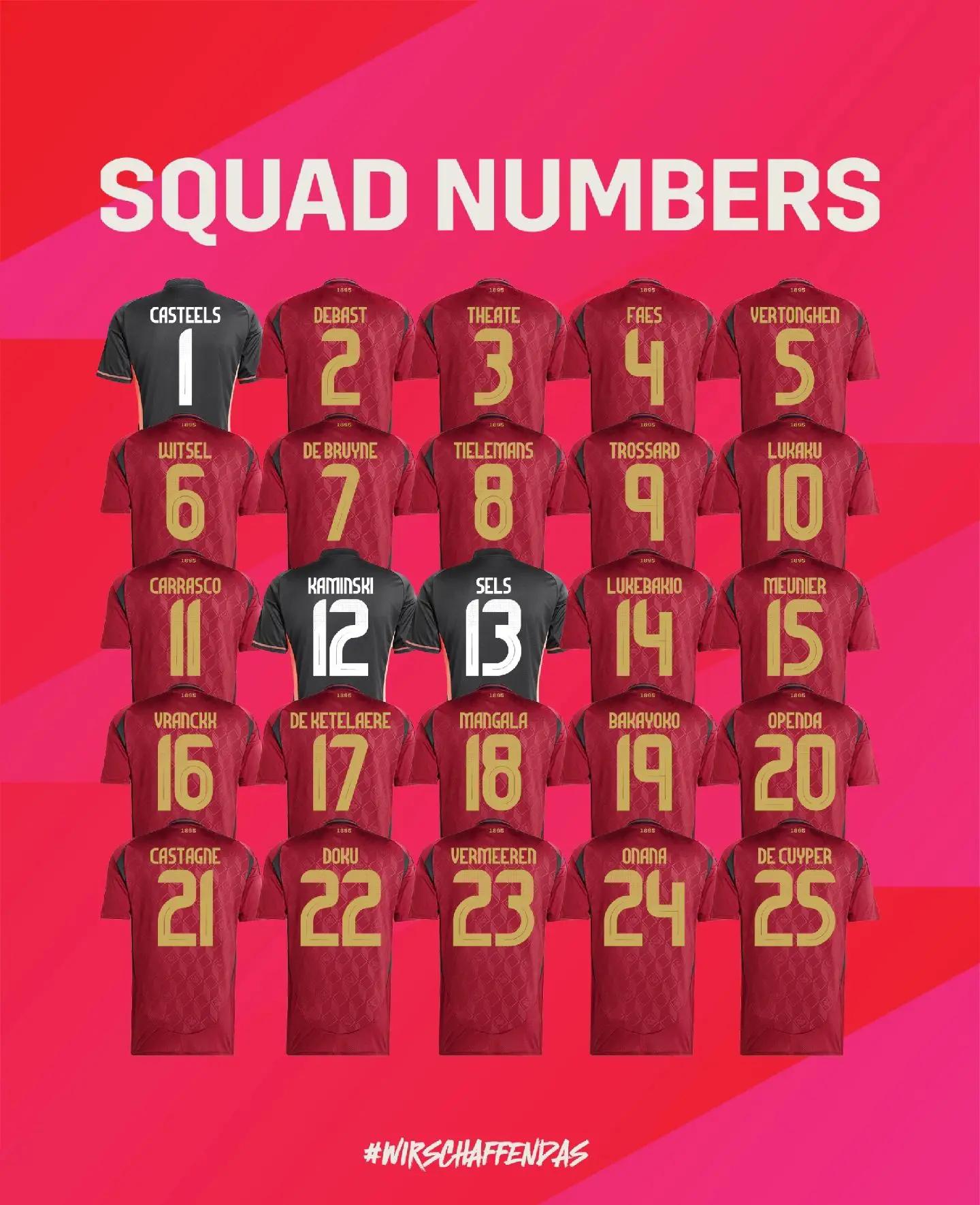 比利时足球队在欧洲锦标赛上有所斩获的简单介绍