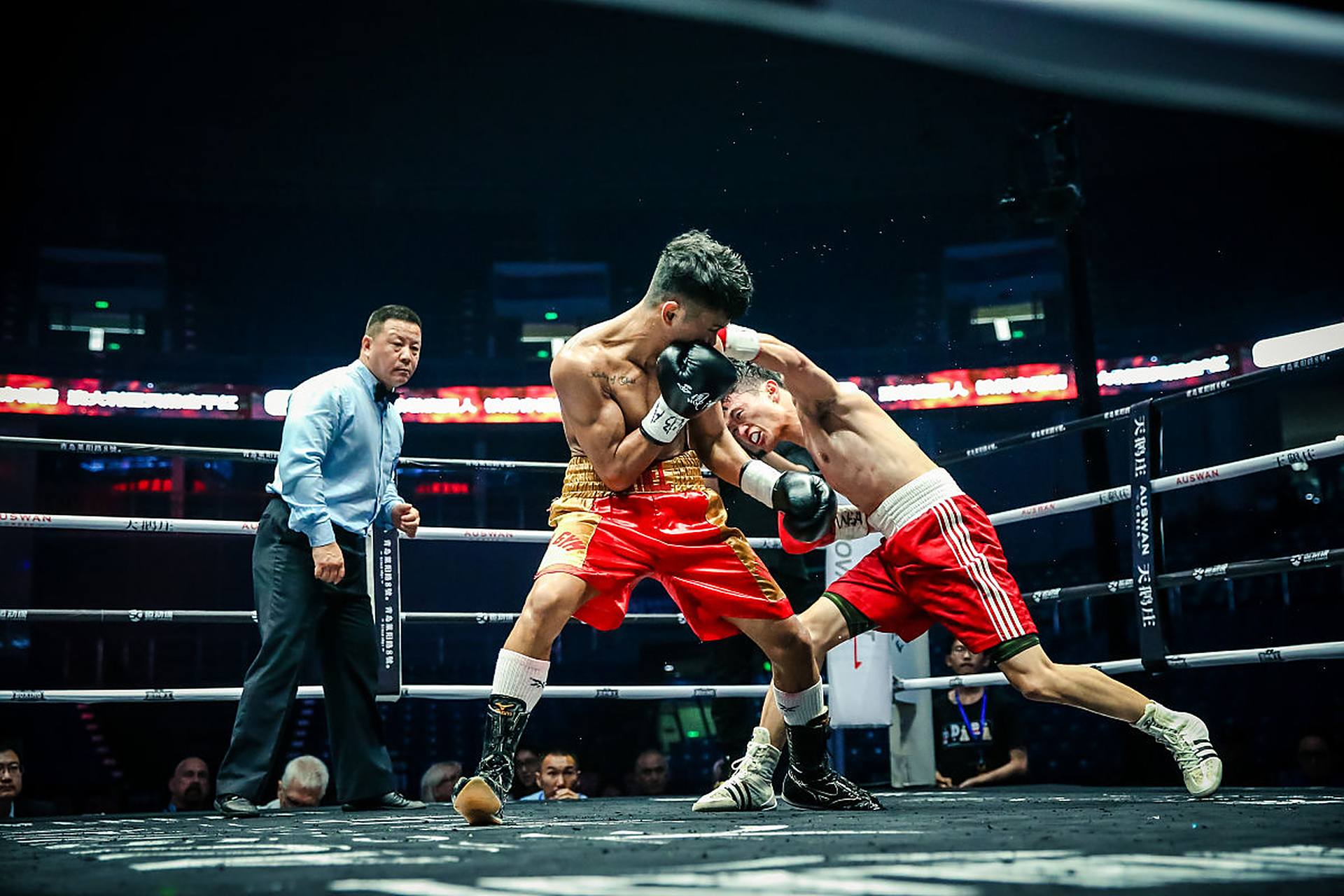 关于拳击比赛中选手技高一筹取胜的信息